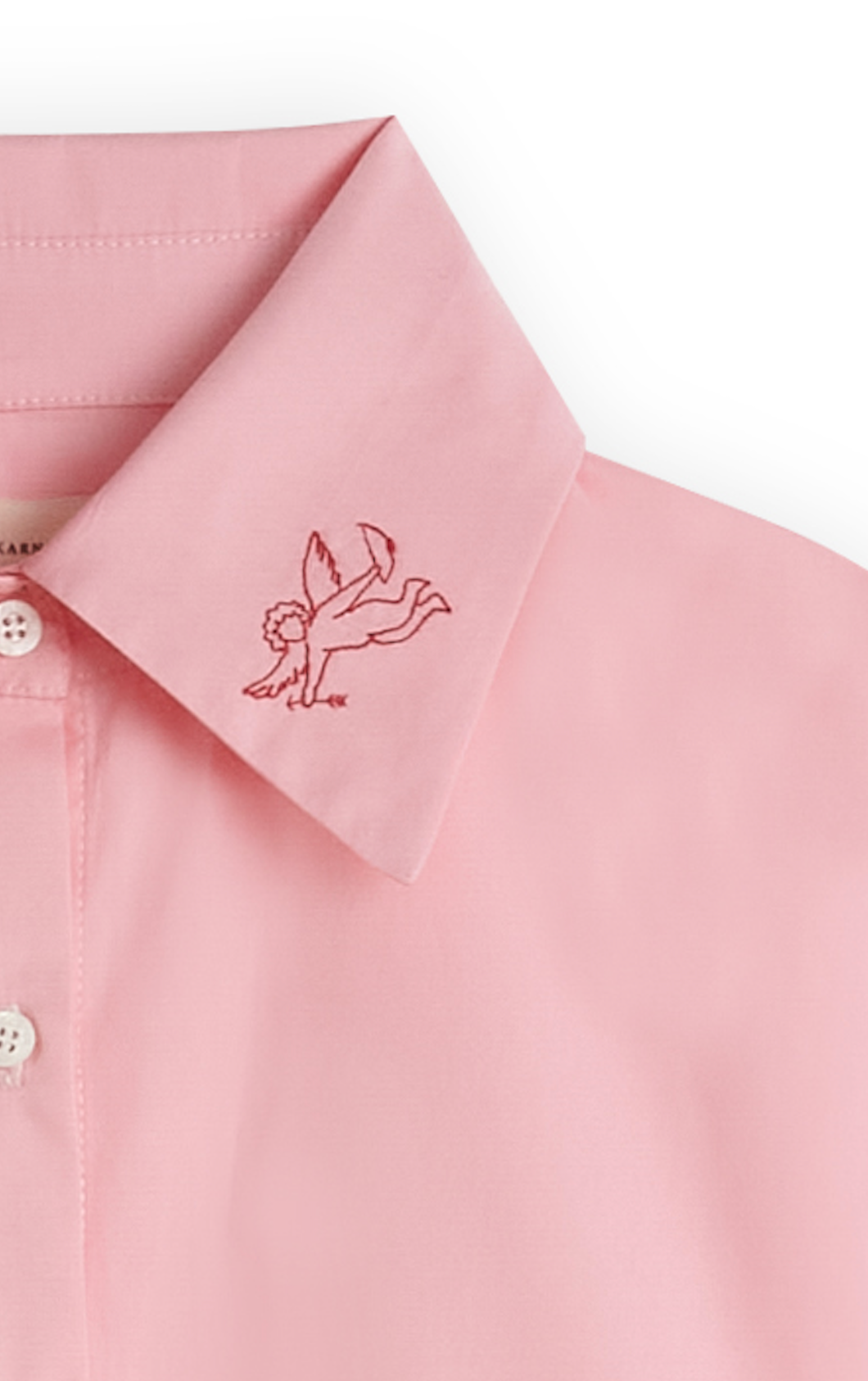 Camisa Antártida Rosa