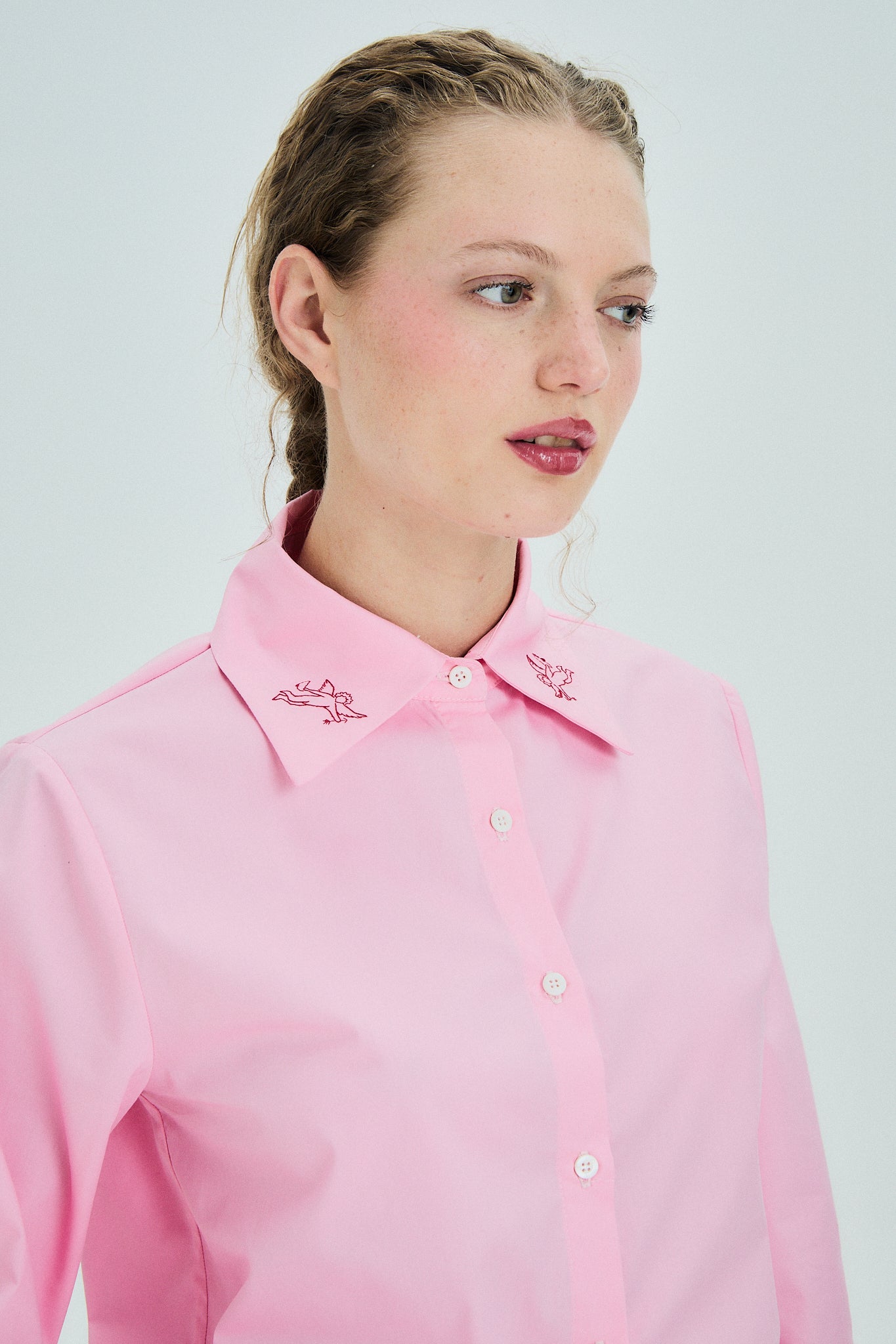 Camisa Antártida Rosa