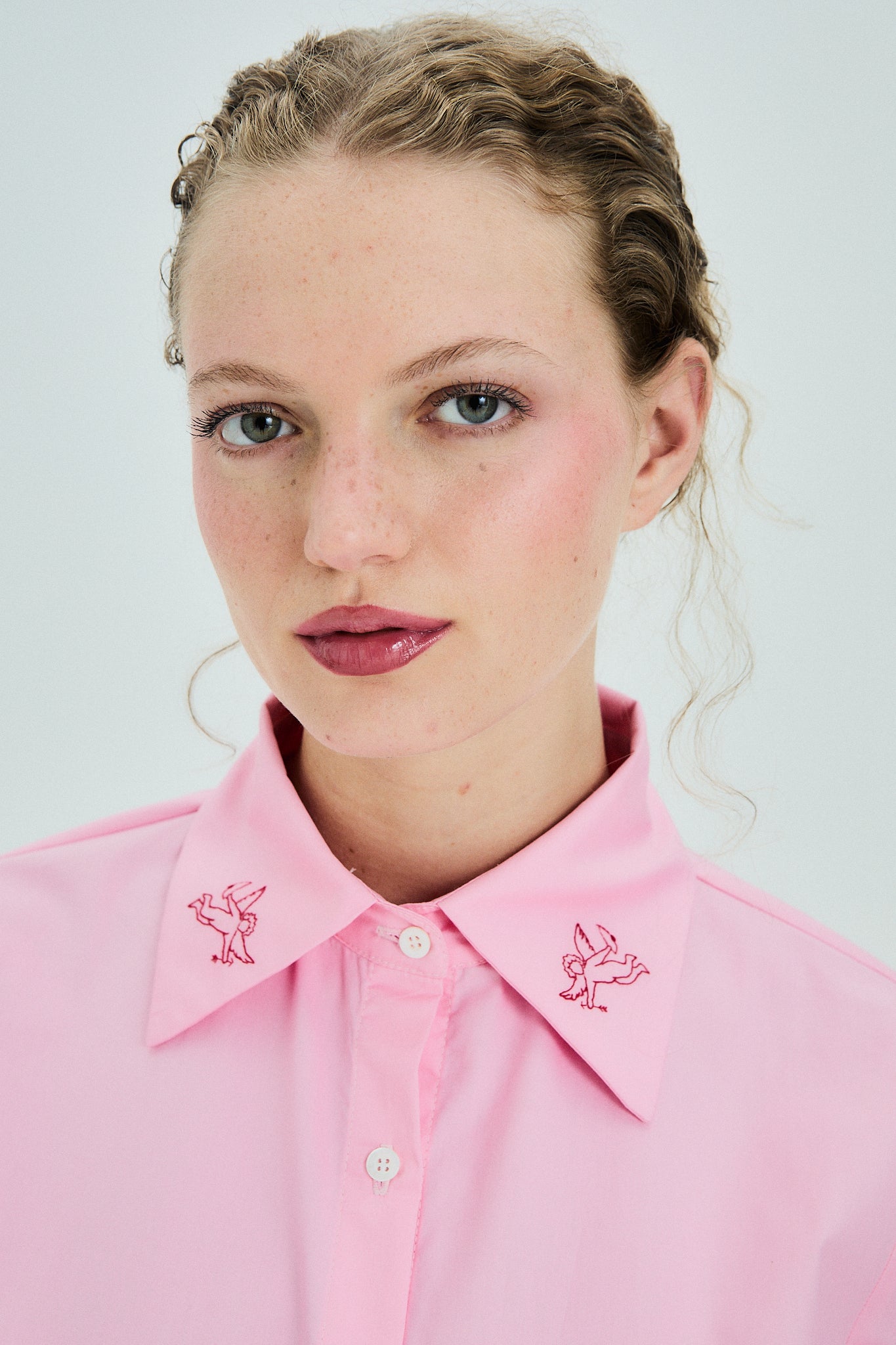 Camisa Antártida Rosa