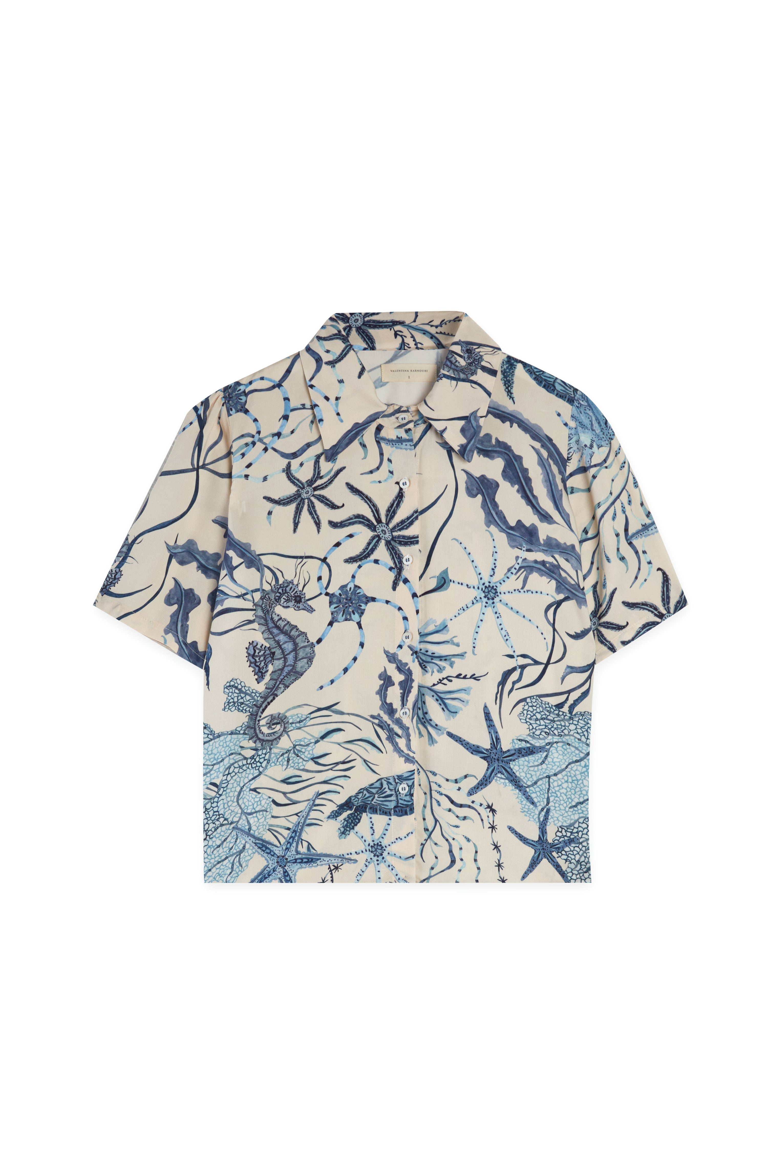 Camisa Ondina azul